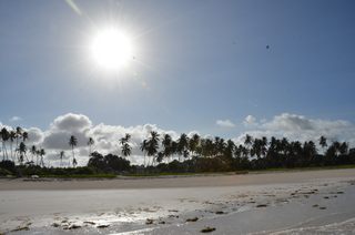 Diani Beach