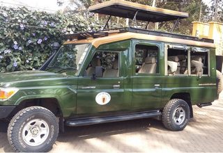 Photoconverted Toyota Landcruiser 