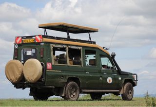 Photoconverted Toyota Landcruiser 