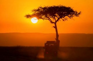 Sonnenuntergang Masai Mara