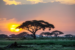 Aberdares Nationalpark