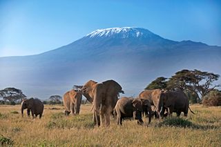 Amboseli - Reiner Harscher