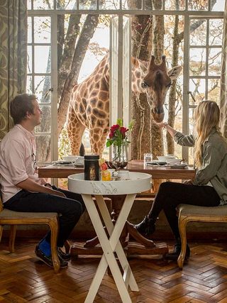 Giraffe Manor