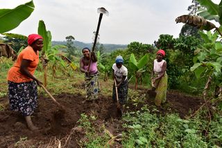 Dorfbesuch Kisoro (Credit: Werner Uwe Roettgering)