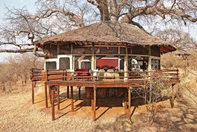 Tarangire Treetops Lodge