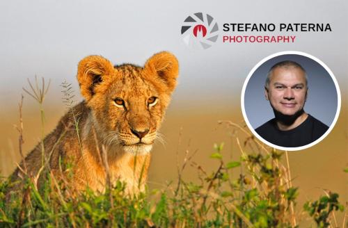 Fotoreise Tansania - mit Stefano Paterna