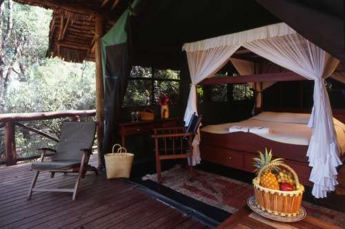 Samburu Intrepids Camp