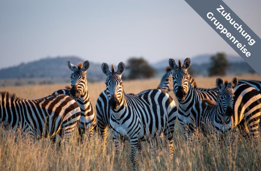 Highlights of Kenya
