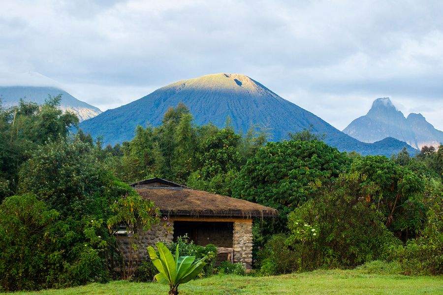 Mountain Gorilla View Lodge