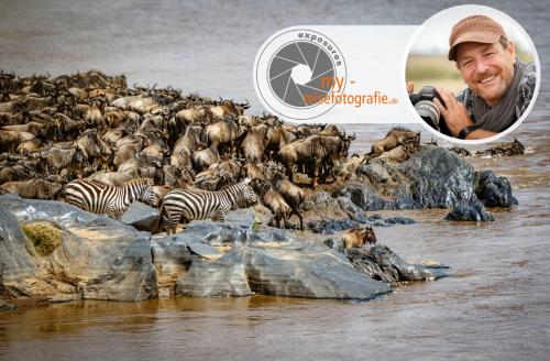 Great Migration Fly-In Safari