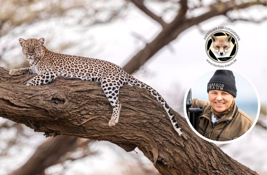 Fotoreise Kenia mit Johnny Krüger