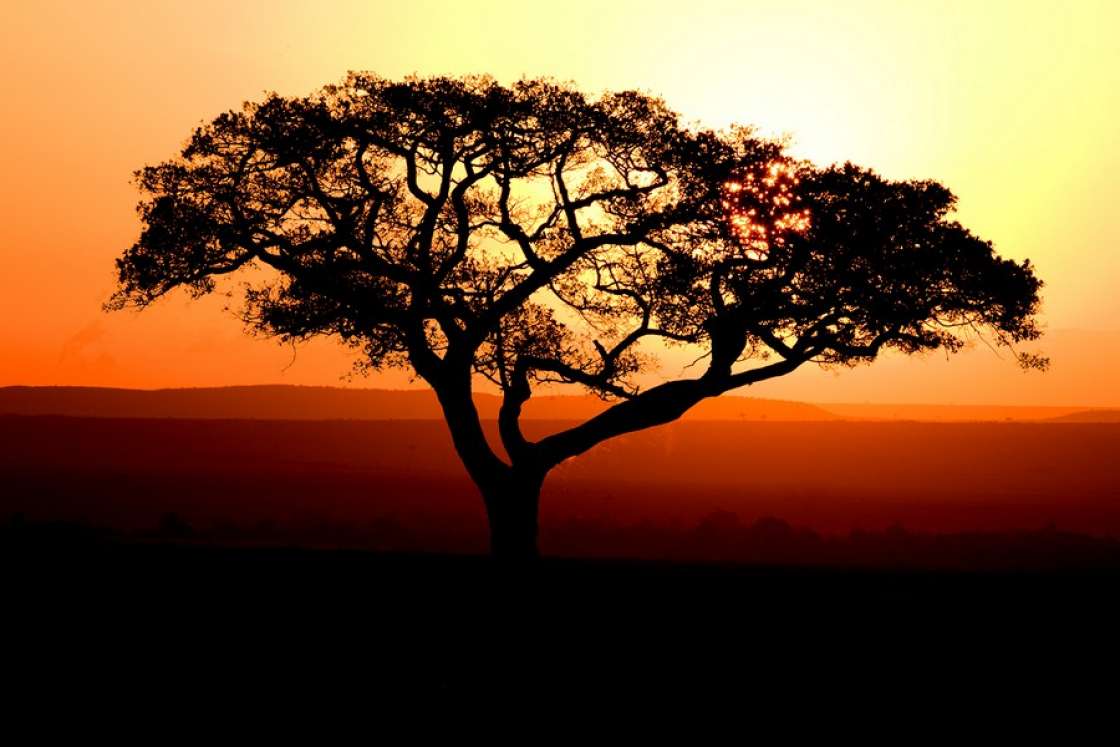 Sonnenaufgang im Tsavo