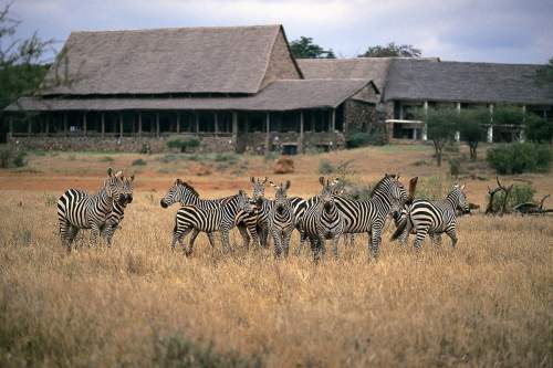 Kilaguni Serena Safari Lodge