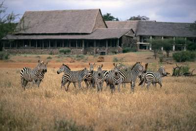 Kilaguni Serena Safari Lodge