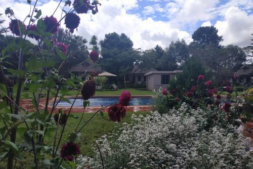 Bougainvillea Safari Lodge