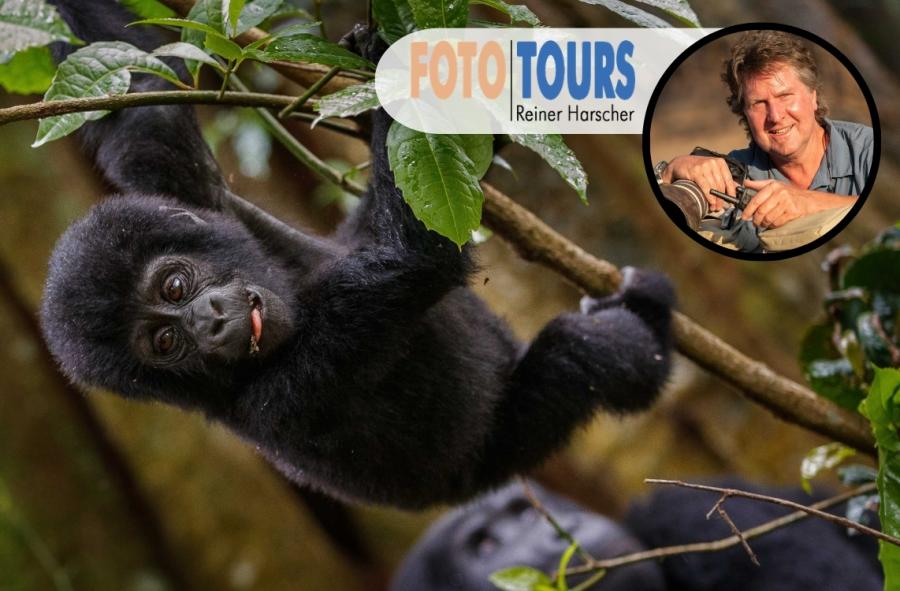 Foto Erlebnisreise mit Reiner Harscher