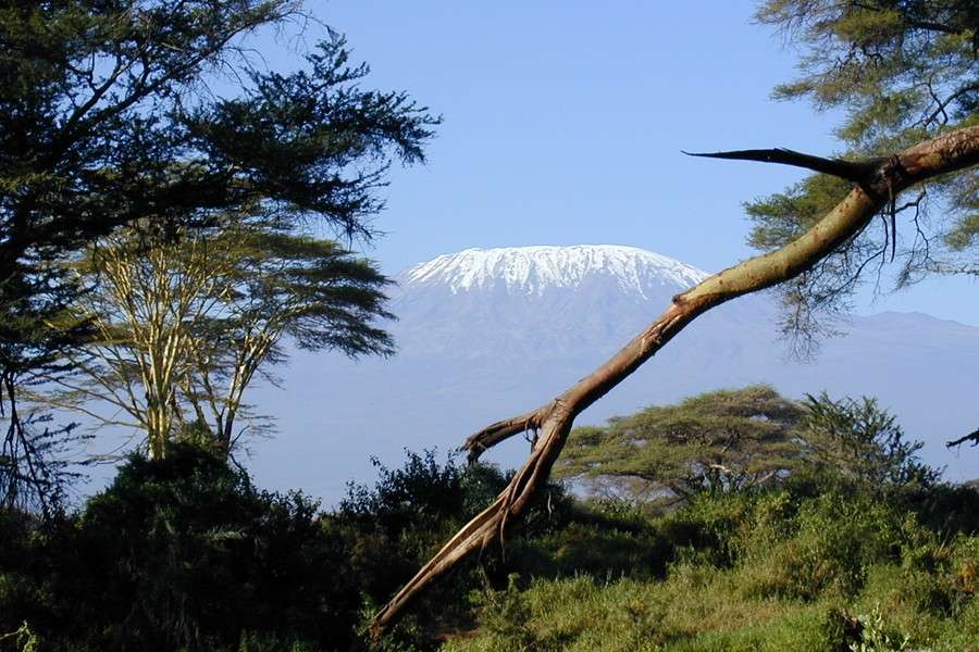 Kilimanjaro vom Amboseli Nationalpark aus