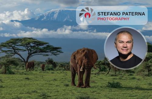 Fotoreise Kenia - mit Stefano Paterna
