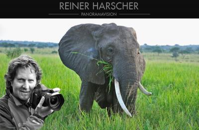 Fotosafari mit Reiner Harscher - Highlights Simbabwe