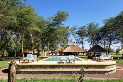 safari lodges tansania serengeti Africa Safari Lake Manyara