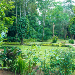 Gartenanlage
