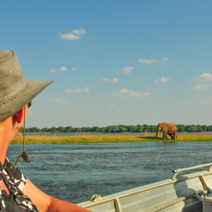Elefant am Fluss