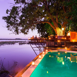 Baumbar beim Infinity Pool