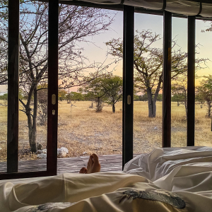 Ausblick Natur aus dem Bett
