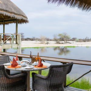 terrasse_frühstück_blick_naturwasserloch