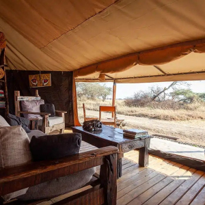 Lounge mit Ausblick auf die Wildnis
