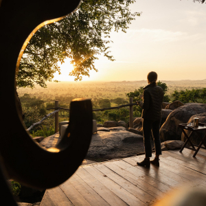 Ausblick auf die Wildnis