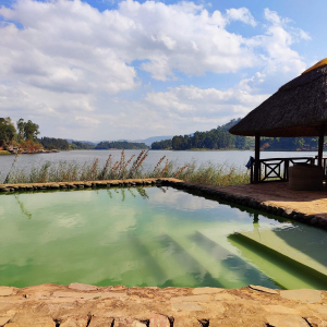 swimmingpool_birdnestresort