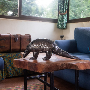 lounge_nkimaforestlodge
