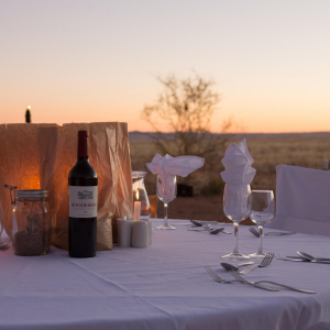 bush_dinner_setup-_desertquivercamp