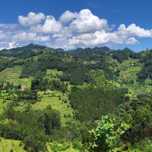 Landschaftsausblick Gorilla Trekking 2