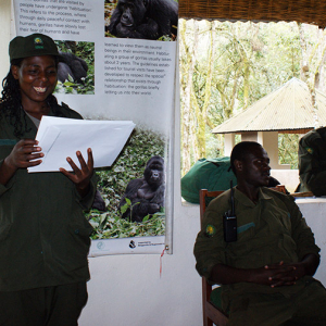 Gorilla Trekking Zertifikat - Jede Teilnehmer der das Trekking erfolgreich absolviert hat, erhält sein persönliches Zertifikat.