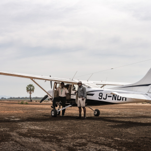 Buschflieger