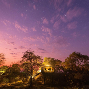 abend_aussicht_nest_chisabusangacamp