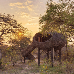 nest_Außendesign_chisabusangacamp
