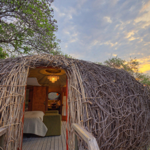 nest_chisabusangacamp