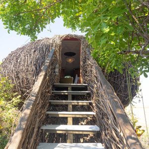 nest_eingang_chisabusangacamp