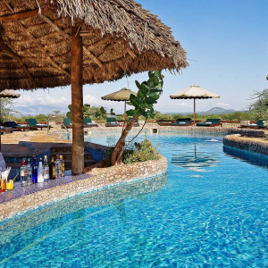 Pool mit Bar