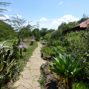 Weg durch den Garten