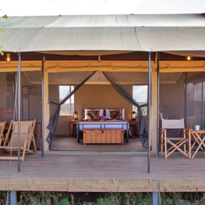 Einblick Deluxe tent