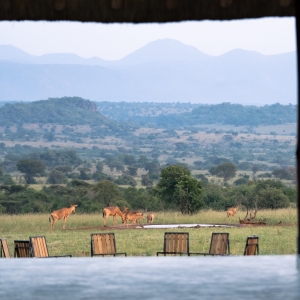 Wasserloch_namonilodge