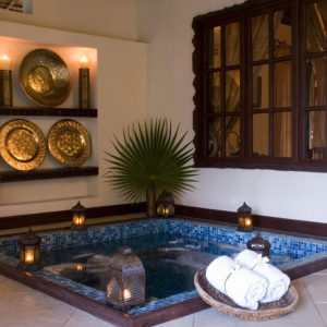 Palms Villa privater Plunge Pool