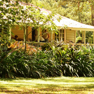 Gartenanlage