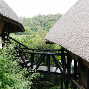 zimmer_chilogorgesafarilodge