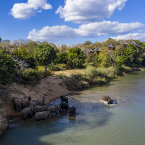 chilogorgesafarilodge