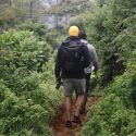 Wandersafari